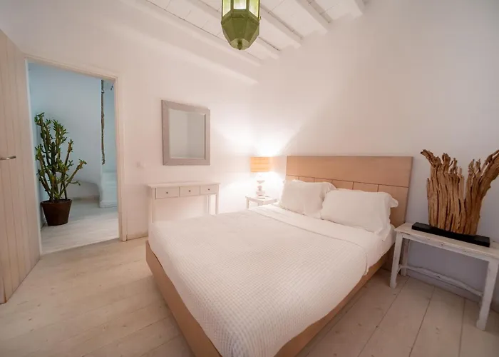 Willa Anasa Private Pool & Jacuzzi 8pax At Panormos Panormos (Mykonos)